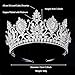 QXMYOO Zirconia Tiaras and Crowns for Women Wedding Prom Quinceanera Pageant Tiara Birthday Jewelry Gift Miss Universe Crown Silver