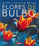 Usado libro en buenas condiciones
