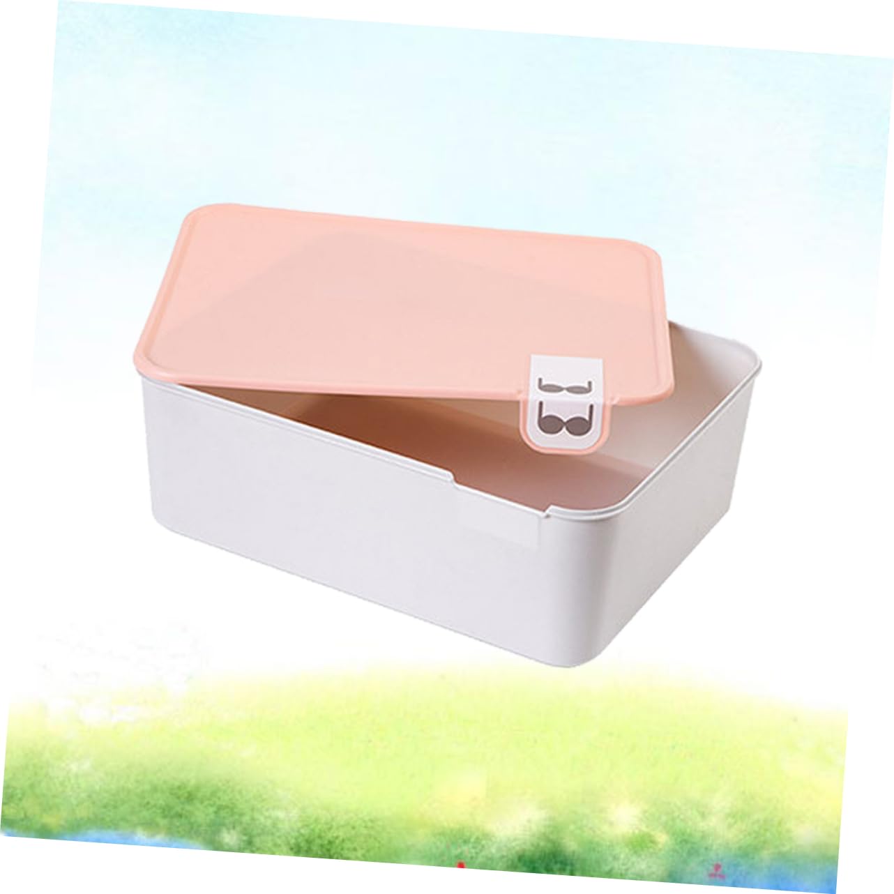 Scatola Porta Intimo con Coperchio Segnalato in Pp Rosa per Cassetto