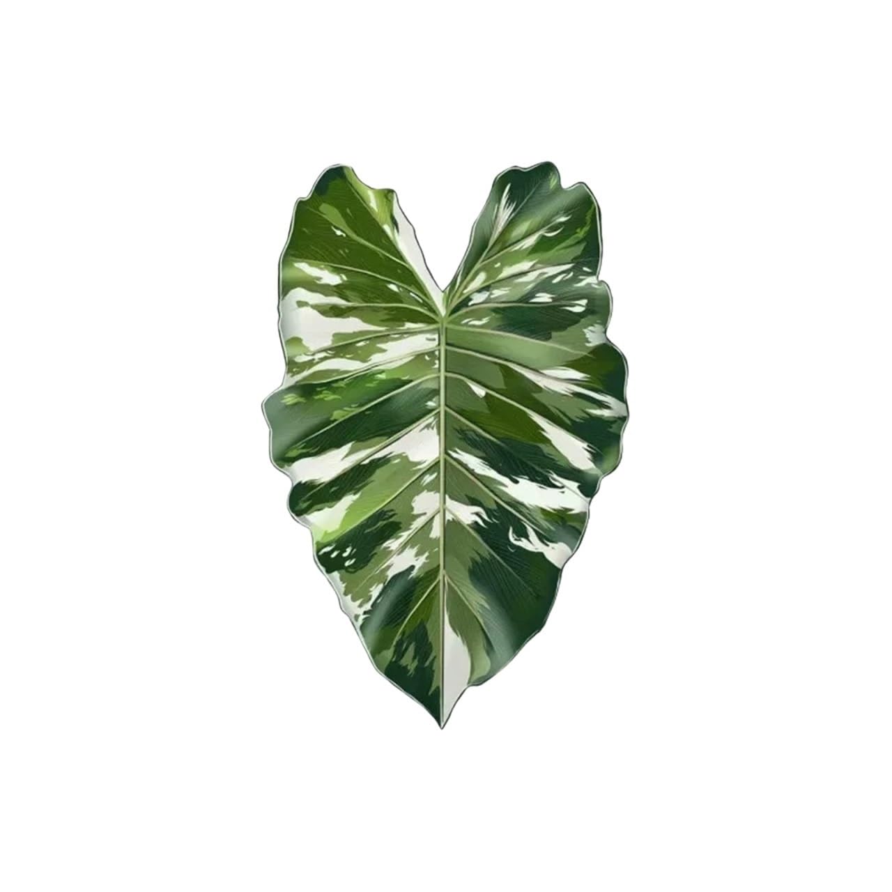 Coaster 3pcs Tropical Green Plant Cup Mats Anti Slip Holders Kitchen Drink Coasters(Color3)