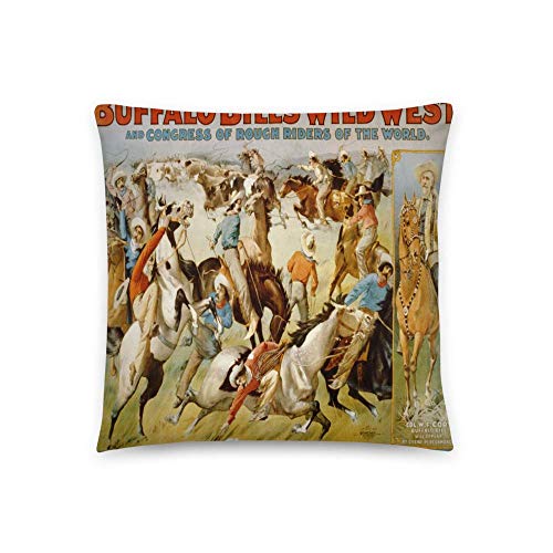 NCAA Illinois 2 Pillow Cases 20