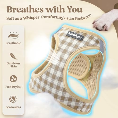 Image of rabbitgoo Dog Harness Small Sized and Leash Set, Step-in Puppy Pet Vest