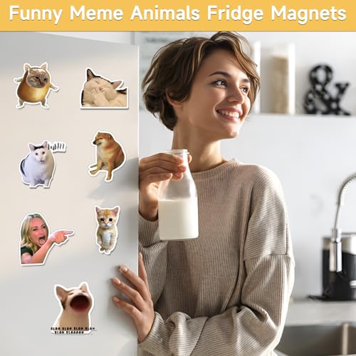 24 Imánes de Refrigerador Meme Estilo Divertido Animales miniatura 3