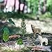 Sratte 26 Pcs Woodland Wolf Figurines Toys Small Wolf Figures with Model Trees Kit Playset Cake Toppers Diorama Project Kit for Kids Toddlers Birthday Gift Decor