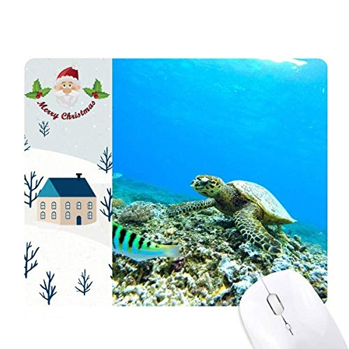 C̃J̋̉Ȋw͎R̎ʐ^ T^N[XƉS̃}EXpbh