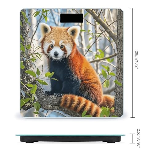 Báscula digital para baño Little Red Panda miniatura 2