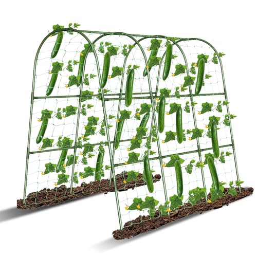 Treillis de concombre rigide et arche de jardin en métal robuste - 2