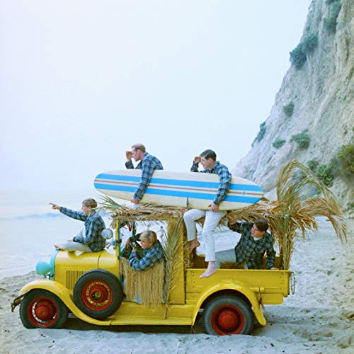 The Beach Boys