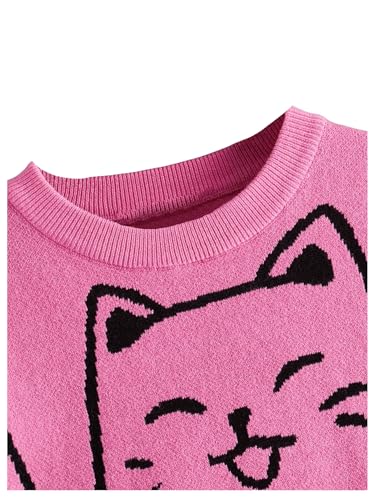 SweatyRocks Girl's Cute Graphic Sweater Colorblock Crewneck Long Sleeve Knit Tops Pullovers3