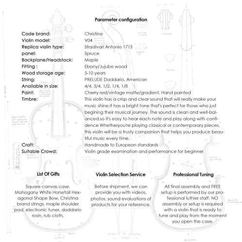 Professional Violin Beginner Full Size