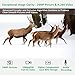 GardePro A3 Trail Camera 24MP 1080P, H.264 HD Video, Clear 100ft No Glow Infrared Night Vision, 0.1s Trigger Speed, 82ft Motion Detection, Waterproof Cam for Wildlife Deer Game Trail