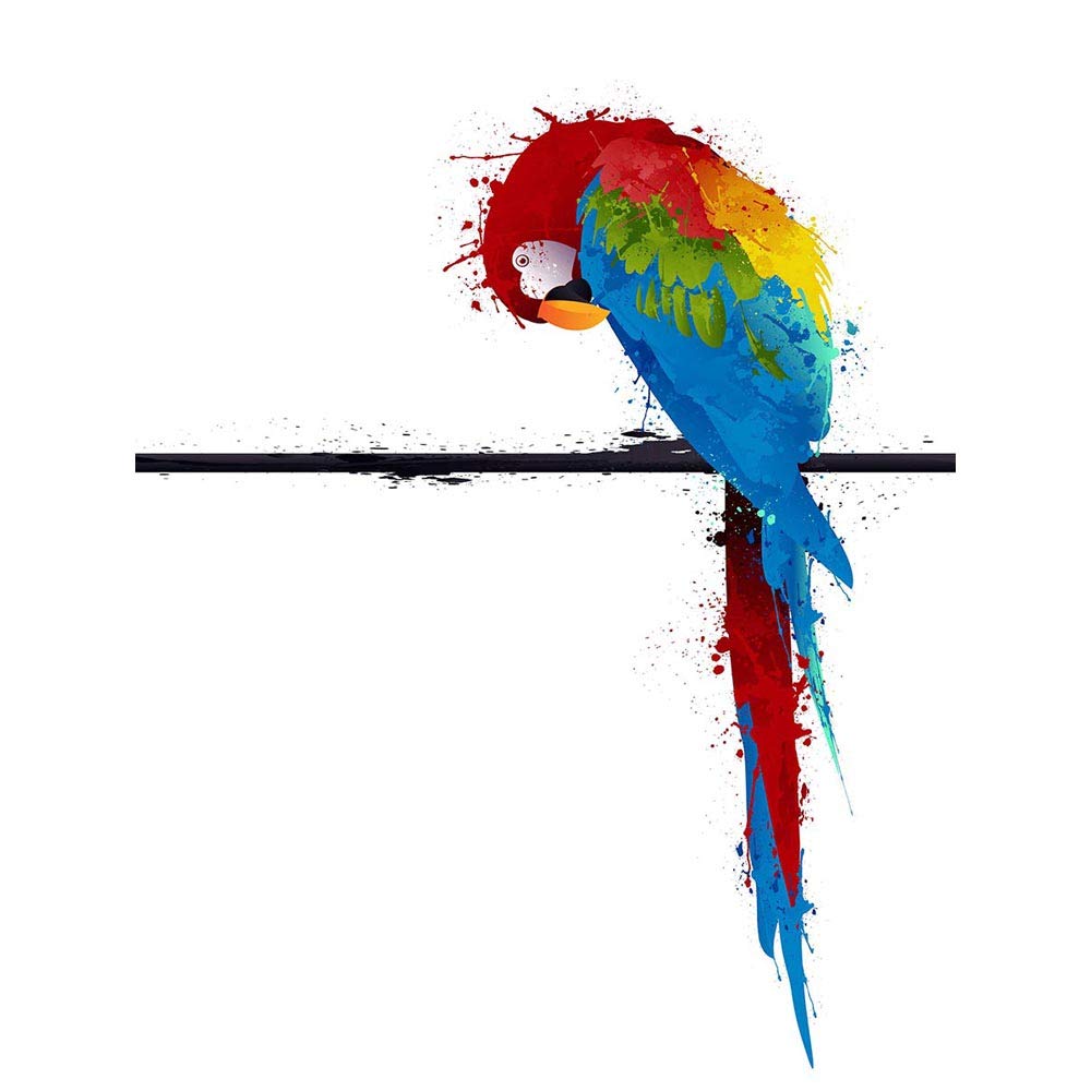 Wee Blue Coo Dt Paint Splat Parrot Art Print Poster Wall Decor 12X16 Inch
