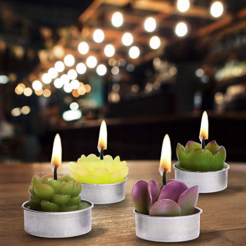 12 Pcs Cactus Tealight Candles Delicate Succulent Cactus Candles For Valentine's Day Birthday Party Wedding Spa Home Decoration Gifts #TOP3