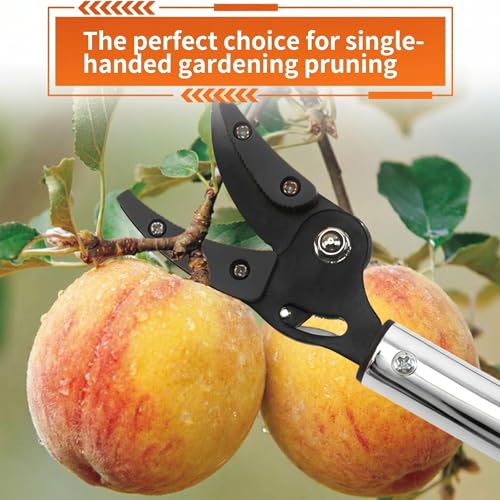 Podadora de poste 39 pulgadas con mango largo y ligero miniatura 3