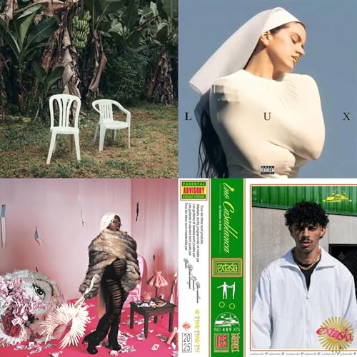 Retour en musique sur 2025 - Partie 1 : la pop et les sous-genres du mainstream