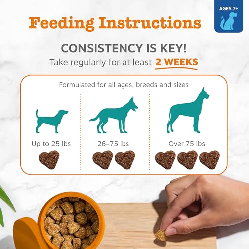 Image of Zesty Paws Senior Calming Chews for Dogs - Calming & Cognition, Chcken 90ct