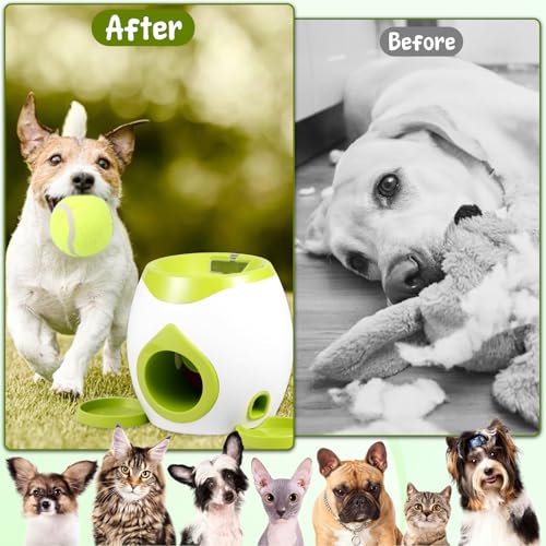 KEGAJEGA Ballwurfmaschine Hund mit 2 Tennisbälle Hunde 2 Tabletts 1 Löffel Automatischer Ballwerfer ABS Tennis Ballmaschine Hund Ball Wurfgerät für den Innen- Außenbereich (Grün)