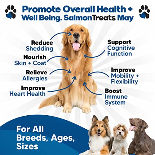 Wild Alaskan Salmon Oil For Dogs - Dog Skin And Coat Supplement - Shedding & Itch Relief For Dogs - Omega 3 Fish Oil For Dogs Chews - 120 Dog Allergy Chews - Dog Shedding Supplement - Dog Vitamins #TOP1