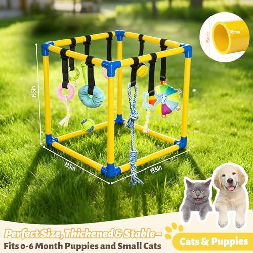 Gymnase de jeu pour chiot et petits chiens avec aire interactive - 7