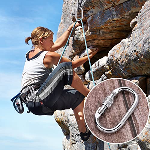 Image of Heavy Duty Carabiner Clip Climbing Carabiner(25kn=5600lbs),Travel Essentials Hook with Screwgate Multipurpose for Climbing, Rigging, Ropes, Hammocks (O Shape, 2pack)