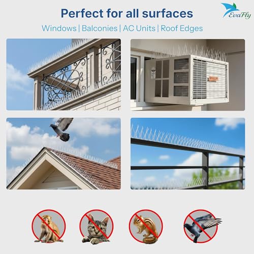 Image of Evafly Balcony Spike for Birds|Pack of 10 Strong Polycarbonate Uv Treated Unbreakable Spikes| Uses at AC Cabinate Windows Railing- White (12x8 inch)