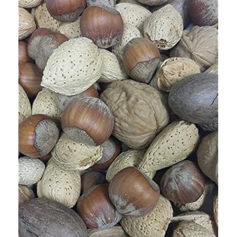 Mixed Nuts - No Brazils - In Shell - 25 lb. Cover