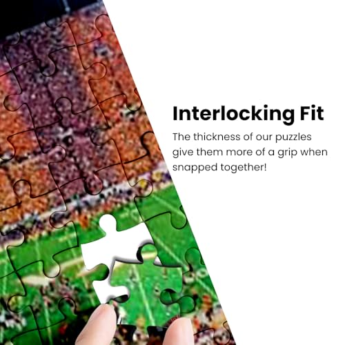Image of Florida Puzzle