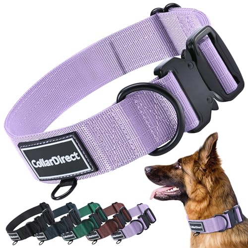 Robustes Hundehalsband für Große & Mittelgroße Hunde – Verstellbar, Doppellagiges Nylon, Metallschnalle, Reißfest & Ideal für Aktive Hunde (Flieder, Klein (28-38 cm))