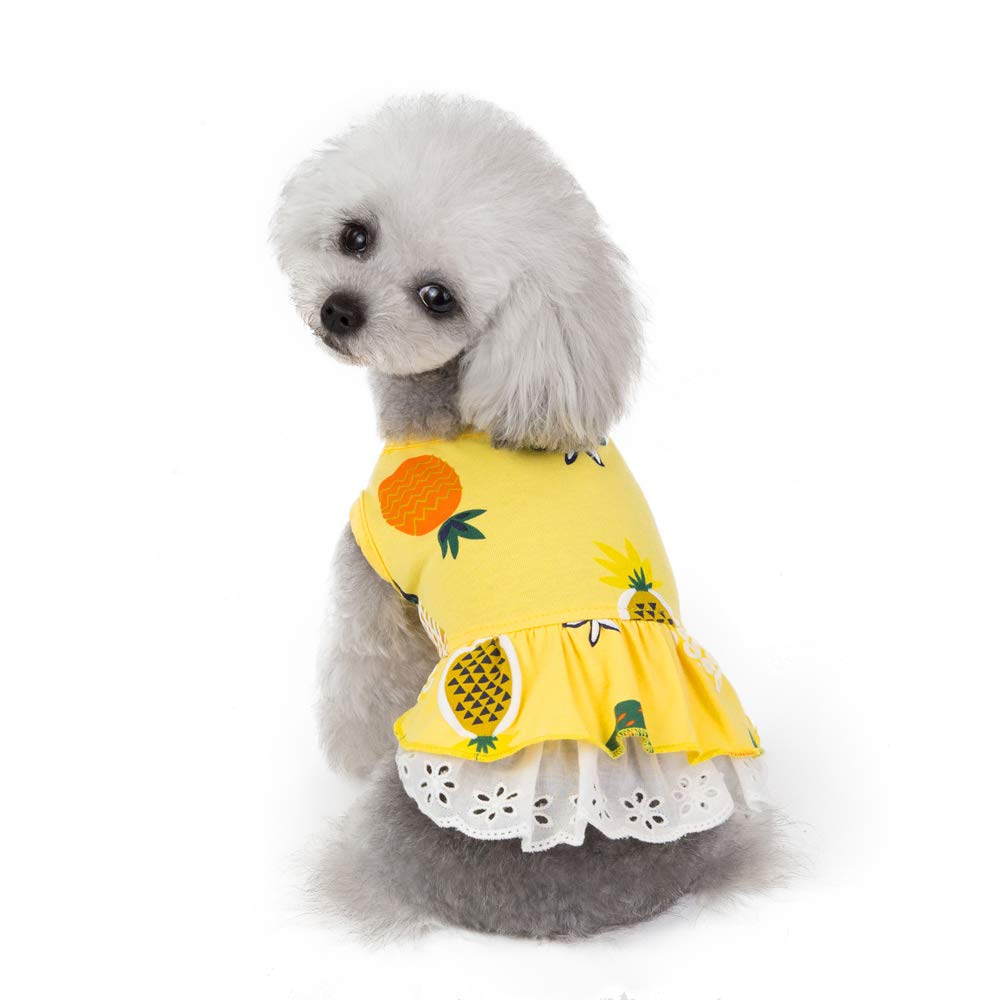 Wolyepor Cute Cartoon Princess Dog Dress Puppy Tutu Skirt Vest Apparel for Daily Life Birthday (Medium, Fruit Yellow)