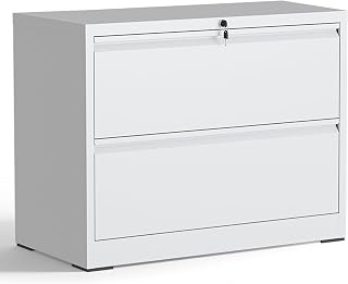2 Drawer Lateral File Cabinet with Lock, Metal Storage Cabinet | Heavy Duty Steel, Lockable Filing Cabinets for Home Office, File Organizer Cabinets for Letter/Legal/A4/F4, Assembly Required