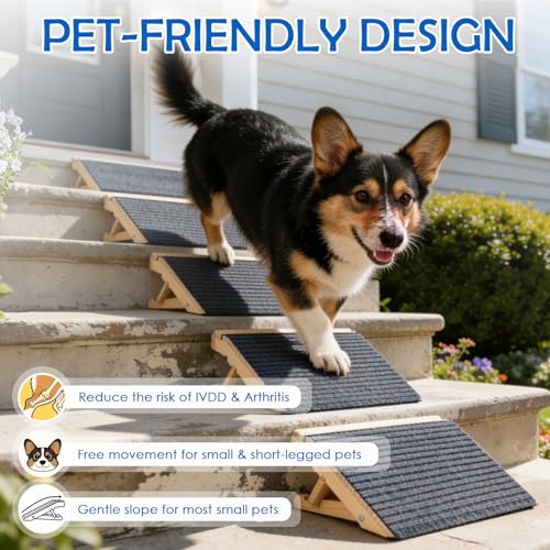 Rampe pour chien pour soulager les articulations avec tapis