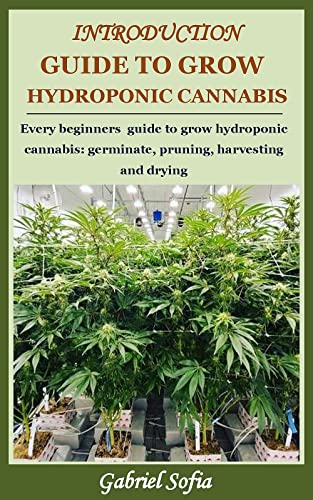 INTRODUCTION GUIDE TO GROW HYDROPONIC CANNABIS: Every beginners guide to grow hydroponic cannabis: germinate, pruning, harvesting and drying