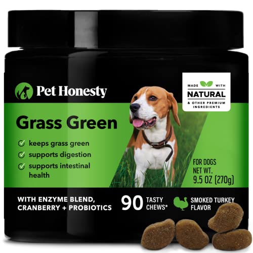 Will Baking Soda Neutralize Dog Urine On Grass?