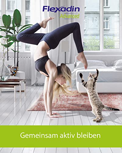 FLEXADIN Advanced® Katze |Innovativer Ansatz für die Gelenkgesundheit | undenaturiertes Kollagen Typ II – 60 Gelenkleckerli