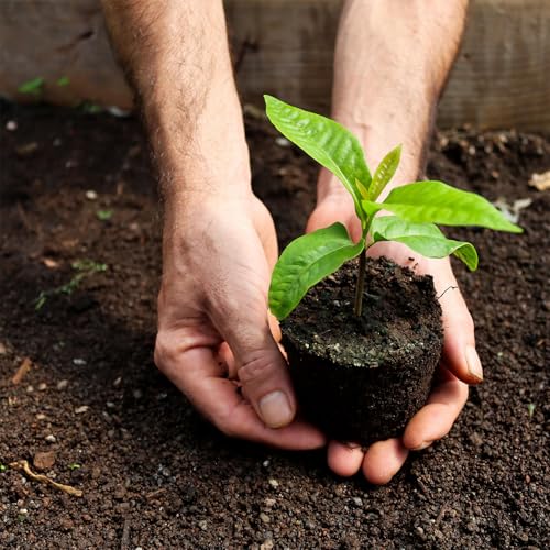 Herramienta para plantar bulbos con mango largo 5 en 1 miniatura 4