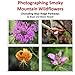 Photographing Smoky Mountain Wildflowers: (including Blue Ridge Parkway) (Photographing the Smokies) (Volume 3)
