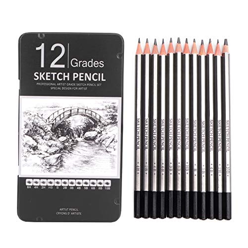 Minglin 12pcs Professional Drawing Sketch Pencils Art Supplies for Drawing Art Sketching Shading Artist Pencils for Beginners Artists