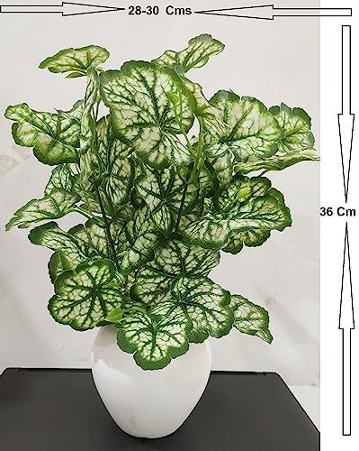 Image of Natural Looking Artificial Money Plant /Tree with Pot | Ornamental Plant for Interior Decor | Home /Shop /Office Decor (Off-White)