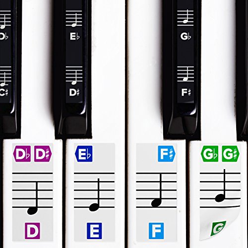 Color Piano Stickers w/Complete Notes on Grand Staff for 49/61 / 76/88 Keyboards