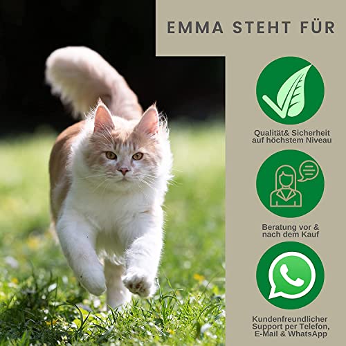 EMMA Ohrentropfen Katze 100ml – milder Ohrreiniger mit Kamille I Ohrenschmalz Entferner & Ohrenspülung gegen Juckreiz, Geruch & Verschmutzungen I Sanfte Ohrpflege für empfindliche Haustiere