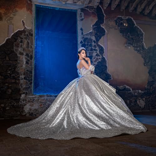 Zhangyo Sparkle Tulle Quinceanera Dresses with Bow Lace Appliques XV Dresses with Train Tulle Beaded Sweet 16 Dresses2