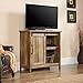 Sauder Adept Storage Accent Storage Cabinet/ Pantry cabinets, For TVs up to 39