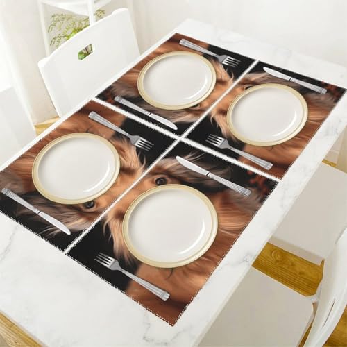 Sets de table teckel à poils longs de qualité supérieure pour décoration de table