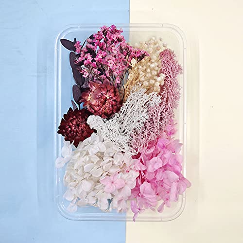 Real Dried Flowers, Dry Pressed Leaf Flowers for Craft Multiple Colorful Dried Flowers for Candle Making Soap Making Craft Resin Jewelry Making (DF05)
