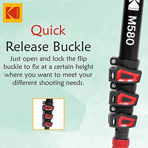 Image of Kodak M580 with Large Metal Hydraulic Head and 3 Level Support Base (Black)