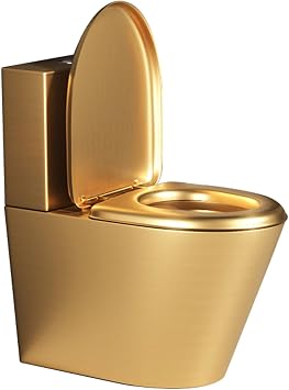 304 Stainless Steel Commercial Toilet,Bathroom High-efficiency Water-saving One-piece Toilet, Soft-Close Seat Toilet Comfortable Dual Flush Siphon Toilet Bowl, for RV,Hospitals, Bars
