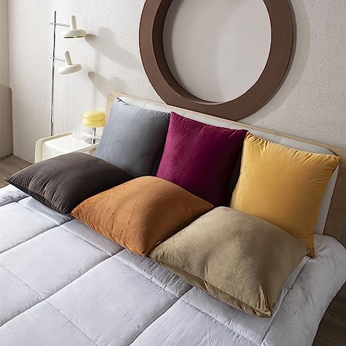 Image of HOKIPO Velvet Cushion Cover 22 Inch x 22 Inch, Cream, Pack of 2 (IN-579-CRM-22IN*2)