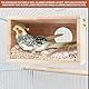 Zyiphor Nistkasten Wellensittich Brutkasten Vogelzuchtbox Holz Zuchtbox Transparentes Design Vogelnest Vogelzucht Vogelhaus für Sittich Exoten Lovebirds Papageien (12x12x19,5cm)