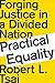 Practical Equality: Forging Justice in a Divided Nation