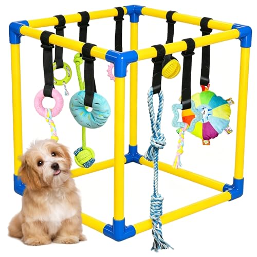 Gymnase de jeu pour chiot et petits chiens avec aire interactive - 2